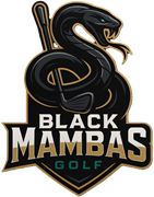 Black Mambas